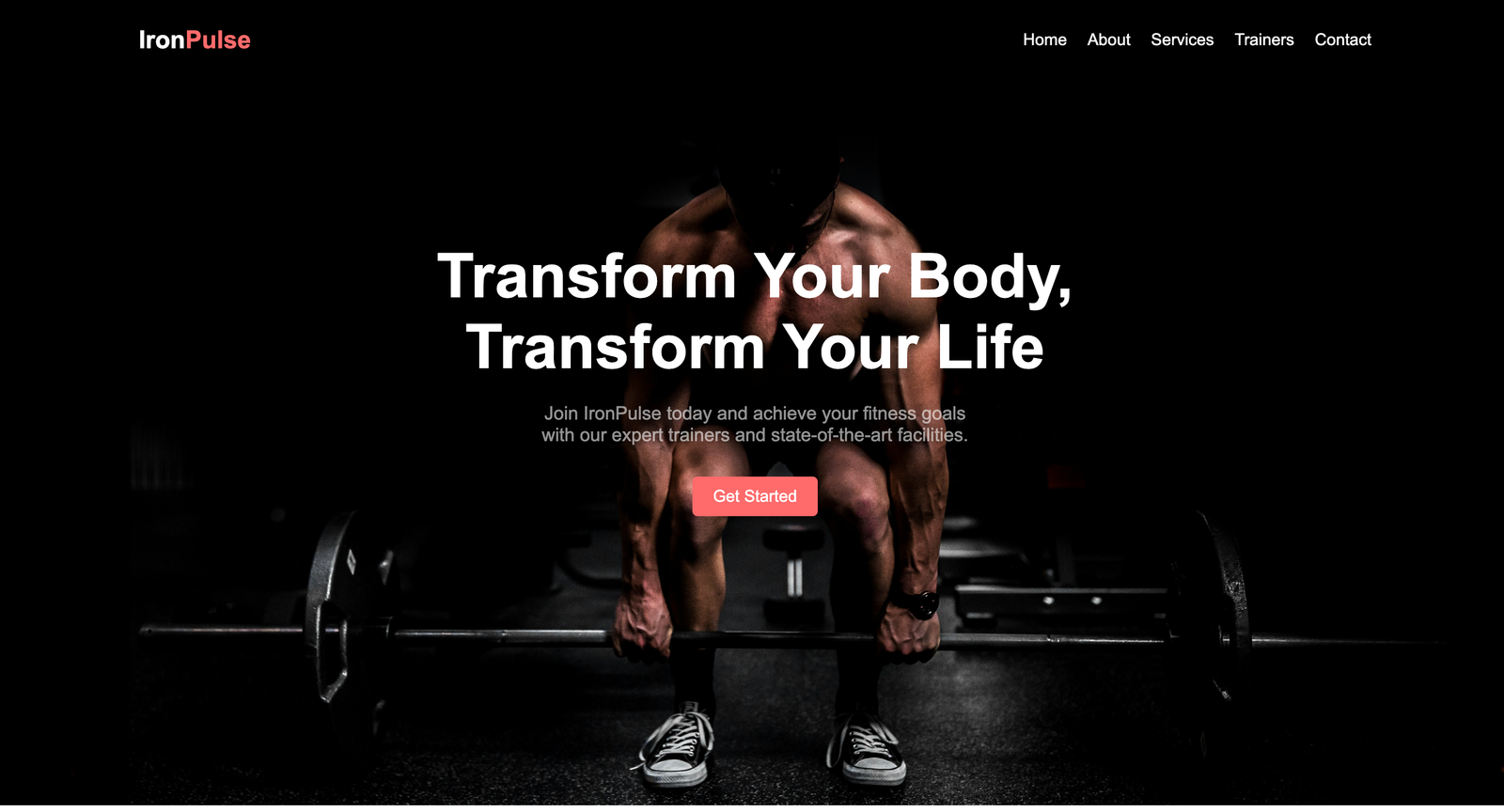 Iron Pulse project cover